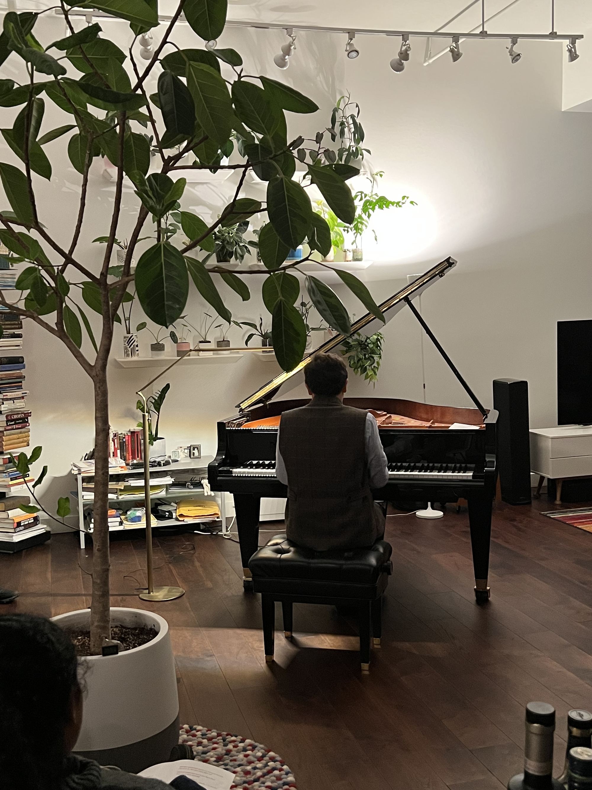 The piano, and the fig