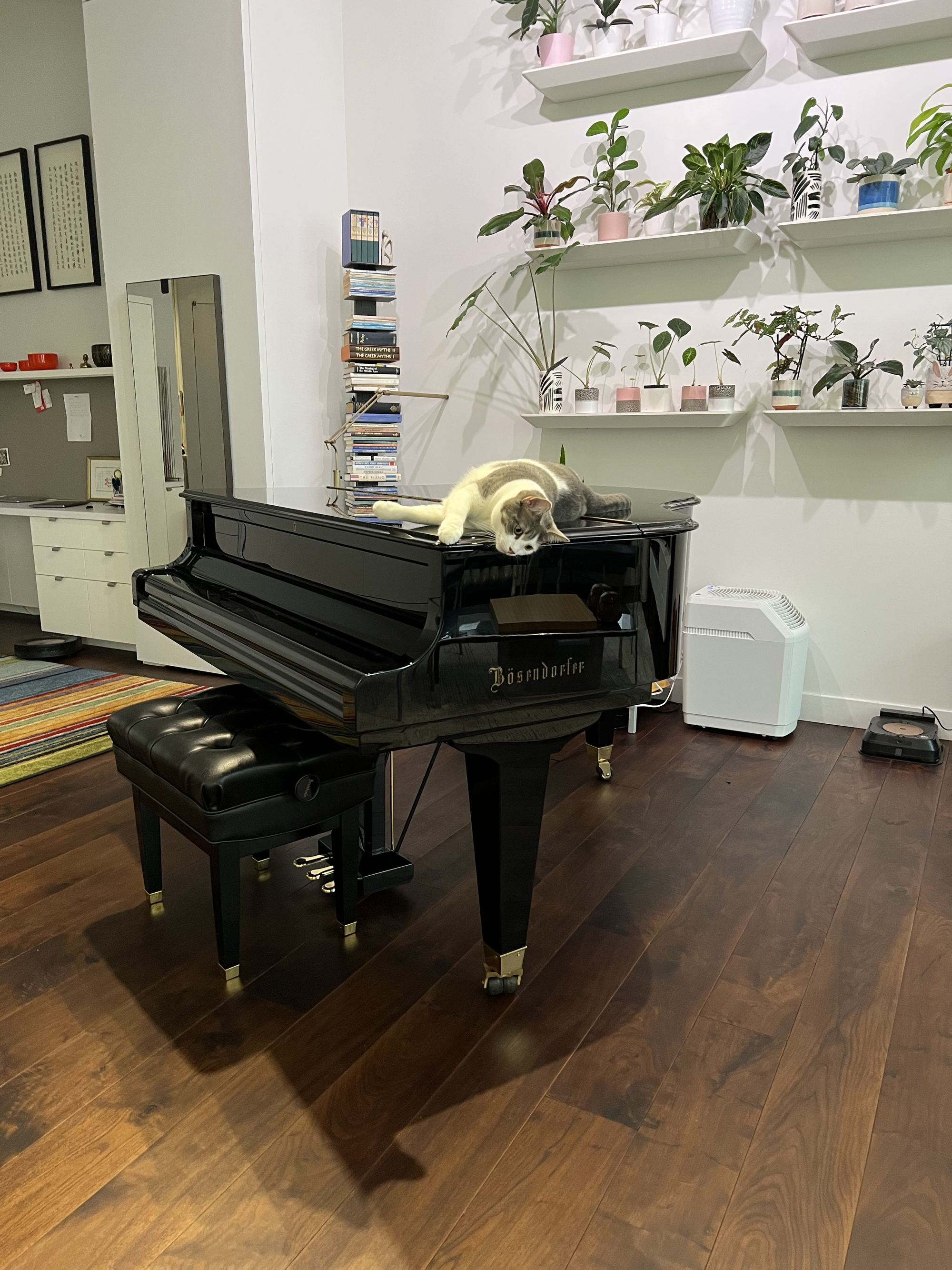 The Bösendorfer, in the morning