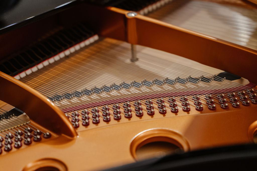 Inside the Bösendorfer