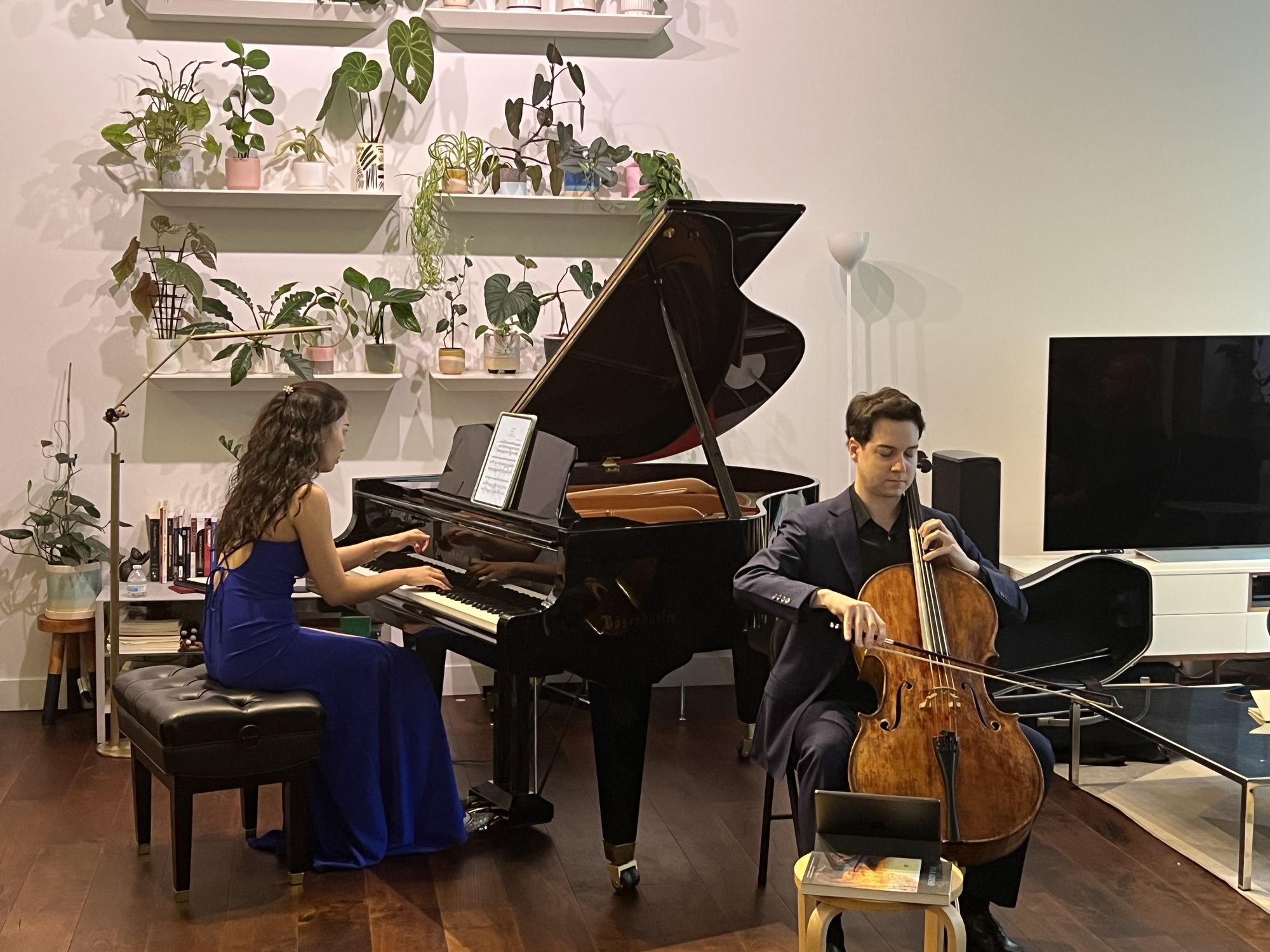 The Cello Sonata